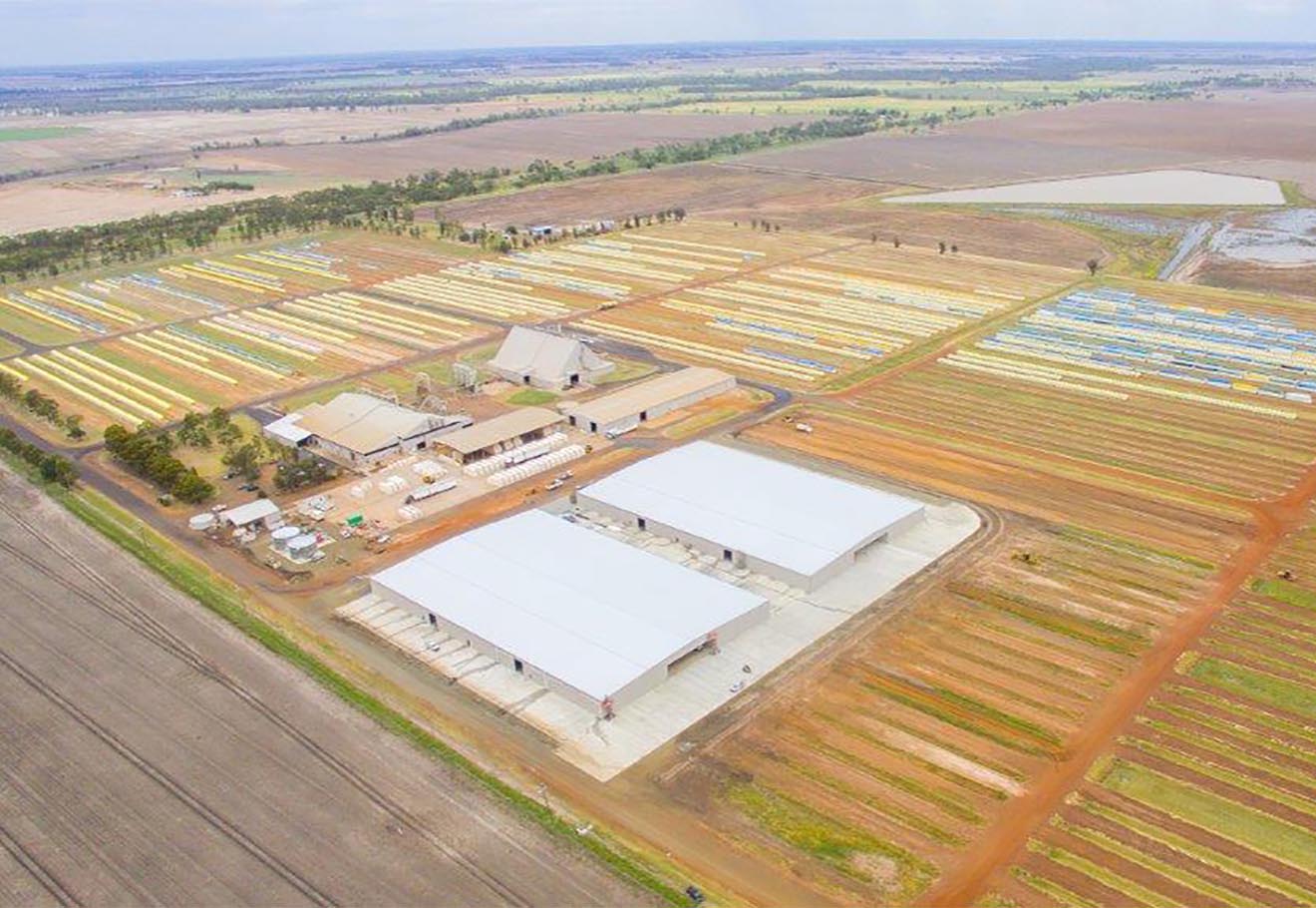 Ginnery industrial sheds